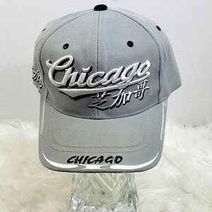 DINOS CHICAGO‎ Gray Korea Baseball Hat OS
